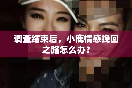 调查结束后，小鹿情感挽回之路怎么办？
