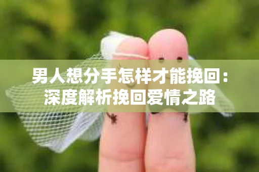 男人想分手怎样才能挽回：深度解析挽回爱情之路