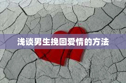 浅谈男生挽回爱情的方法