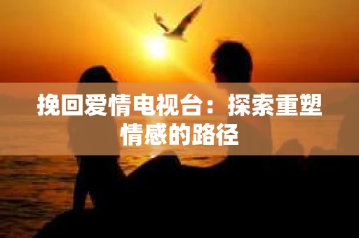 挽回爱情电视台：探索重塑情感的路径