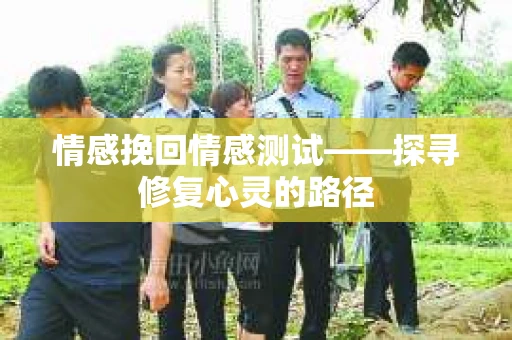 情感挽回情感测试——探寻修复心灵的路径
