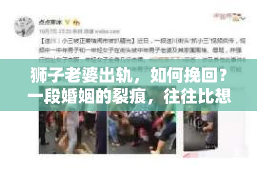 狮子老婆出轨，如何挽回？一段婚姻的裂痕，往往比想象中更难以修复。但面对这样的困境，我们仍可以尝试寻找解决问题的方法。以下，我将结合实际情况，分享一些关于如何挽回狮子老婆出轨的心得。