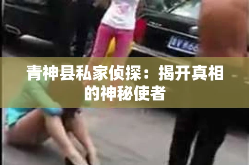 青神县私家侦探：揭开真相的神秘使者