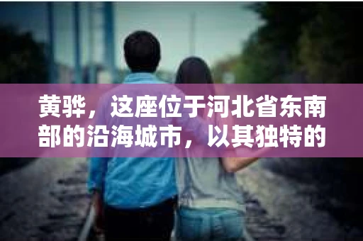 黄骅，这座位于河北省东南部的沿海城市，以其独特的地理位置和丰富的历史文化而闻名。然而，在这座城市中，还有一群人，他们以另一种方式默默守护着社会的公平与正义——私家侦探。今天，我们就来聊聊黄骅的私家侦探，看看他们是如何在这个城市中发挥作用的。