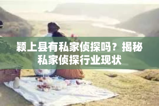 颖上县有私家侦探吗？揭秘私家侦探行业现状
