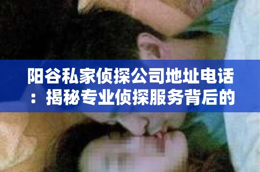 阳谷私家侦探公司地址电话：揭秘专业侦探服务背后的故事