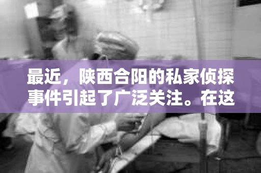 最近，陕西合阳的私家侦探事件引起了广泛关注。在这个信息爆炸的时代，隐私保护显得尤为重要。今天，我们就来聊聊这个事件，看看它背后的一些故事。