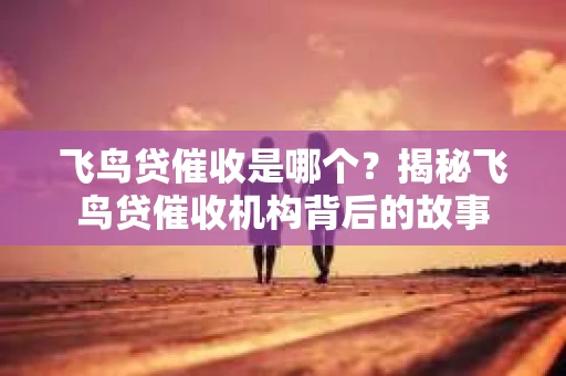 飞鸟贷催收是哪个？揭秘飞鸟贷催收机构背后的故事
