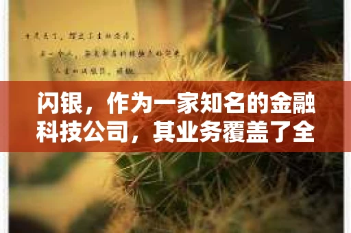 闪银，作为一家知名的金融科技公司，其业务覆盖了全国多个城市。那么，闪银在湖南株洲是否有催收业务呢？今天，我们就来聊聊这个话题。