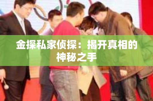 金探私家侦探：揭开真相的神秘之手