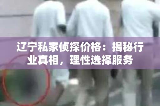 辽宁私家侦探价格：揭秘行业真相，理性选择服务