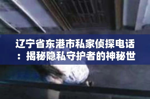 辽宁省东港市私家侦探电话：揭秘隐私守护者的神秘世界