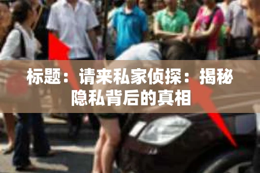 标题：请来私家侦探：揭秘隐私背后的真相