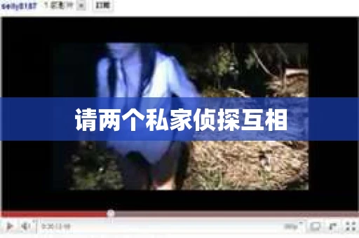 请两个私家侦探互相