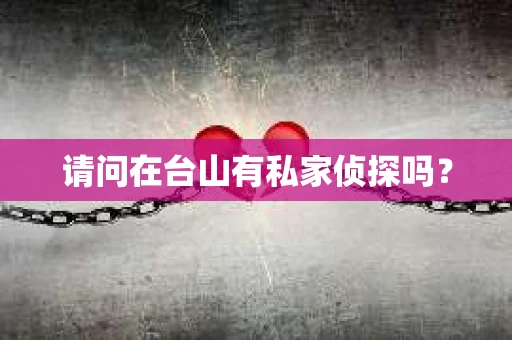 请问在台山有私家侦探吗？
