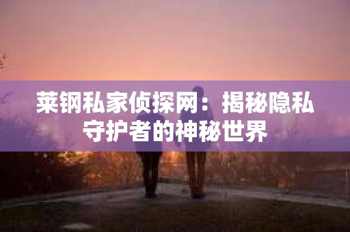 莱钢私家侦探网:揭秘隐私守护者的神秘世界 莱钢私家侦探网:揭秘隐私守护者的神秘世界