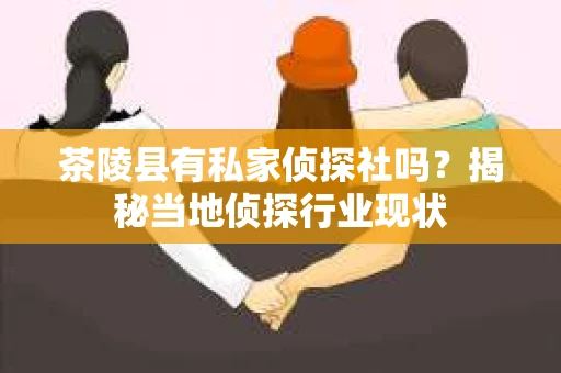 茶陵县有私家侦探社吗？揭秘当地侦探行业现状