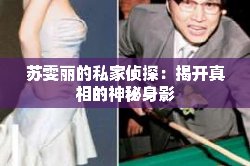 苏雯丽的私家侦探：揭开真相的神秘身影