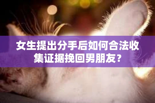 女生提出分手后如何合法收集证据挽回男朋友? 女生提出分手后如何合法收集证据挽回男朋友?