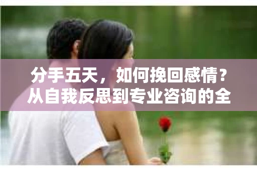 分手五天，如何挽回感情？从自我反思到专业咨询的全面解决方案