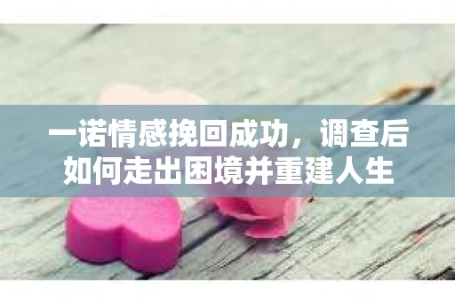 一诺情感挽回成功，调查后如何走出困境并重建人生